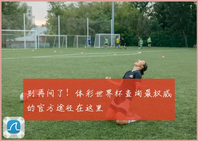 别再问了!体彩世界杯查询最权威的官方途径在这里