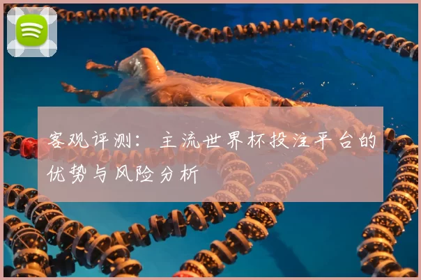 客观评测:主流世界杯投注平台的优势与风险分析