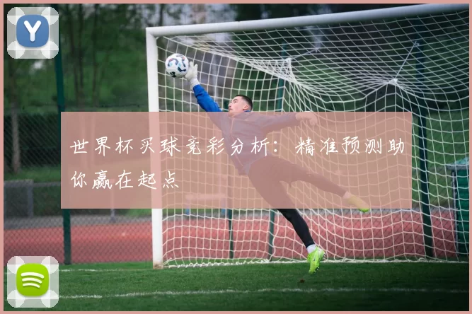 世界杯买球竞彩分析：精准预测助你赢在起点