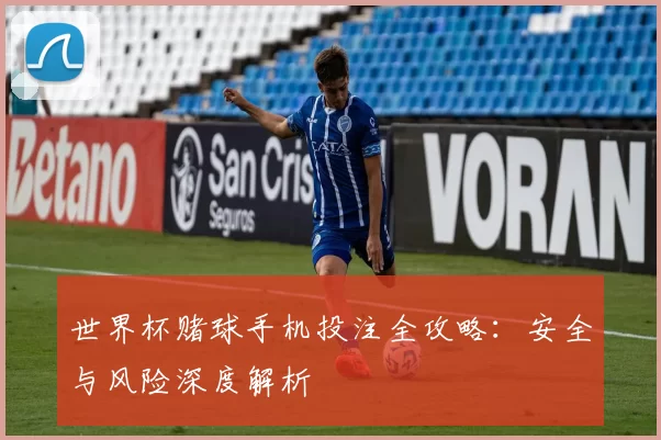 世界杯赌球手机投注全攻略:安全与风险深度解析