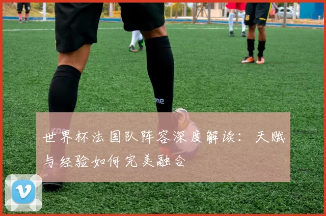 世界杯法国队阵容深度解读：天赋与经验如何完美融合
