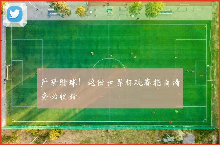 严禁赌球!这份世界杯观赛指南请务必收好。