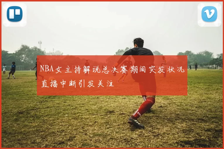 NBA女主持解说总决赛期间突发状况直播中断引发关注